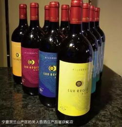 筑底·塑魂 國產(chǎn)葡萄酒的規(guī)模效益與中國塔基的鍛造之路